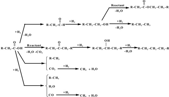 羧酸类加氢反应路线图
